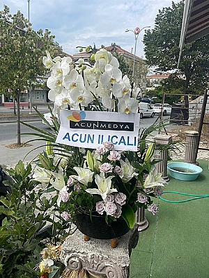 Orkide Arajman 4 dal aranjmal